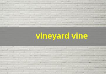 vineyard vine